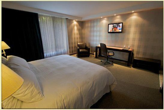 Hotel Gobernador - 豪华王室