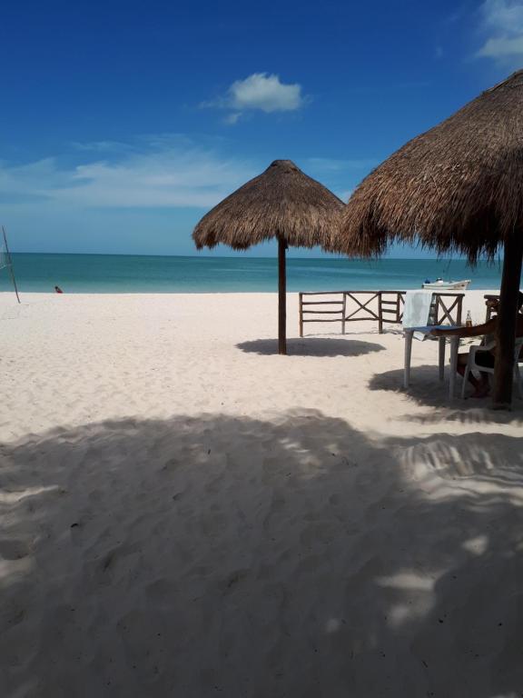 una spiaggia con due ombrelloni di paglia e una panchina di Hotel San Julio a Celestún