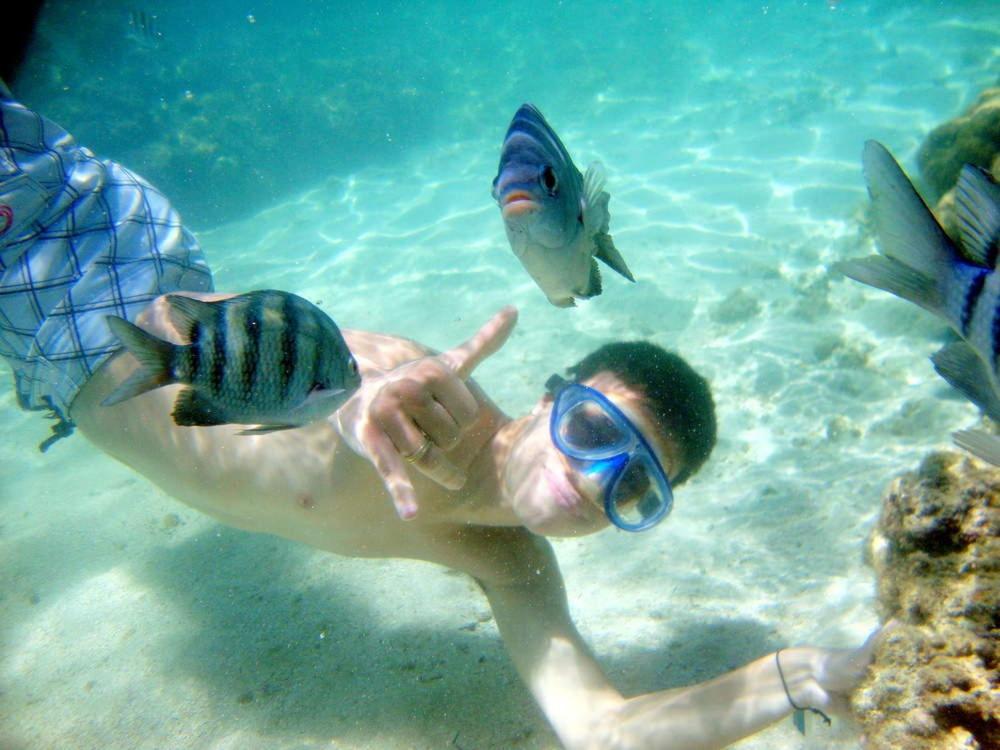  Beach Class Muro Alto select