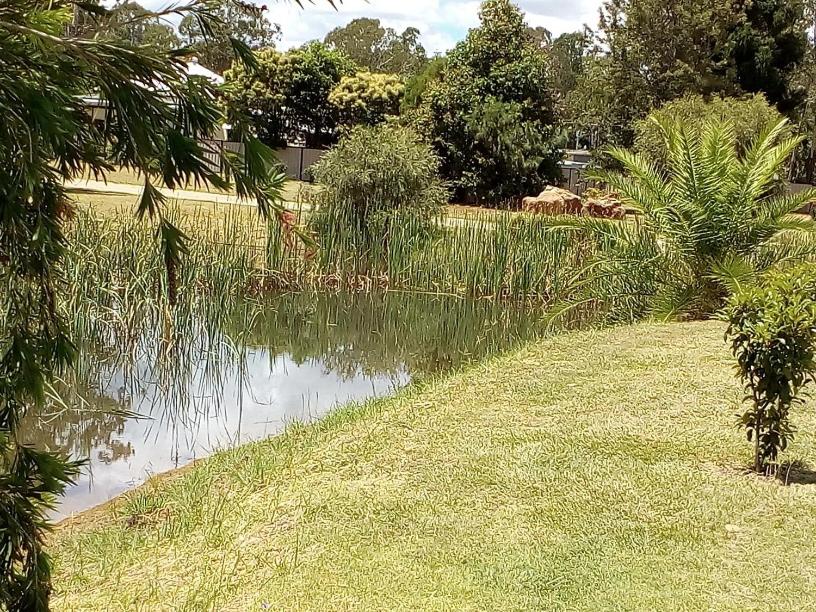 a pond in a park with grass and trees at Wondai Accommodation Units And Villas in Wondai