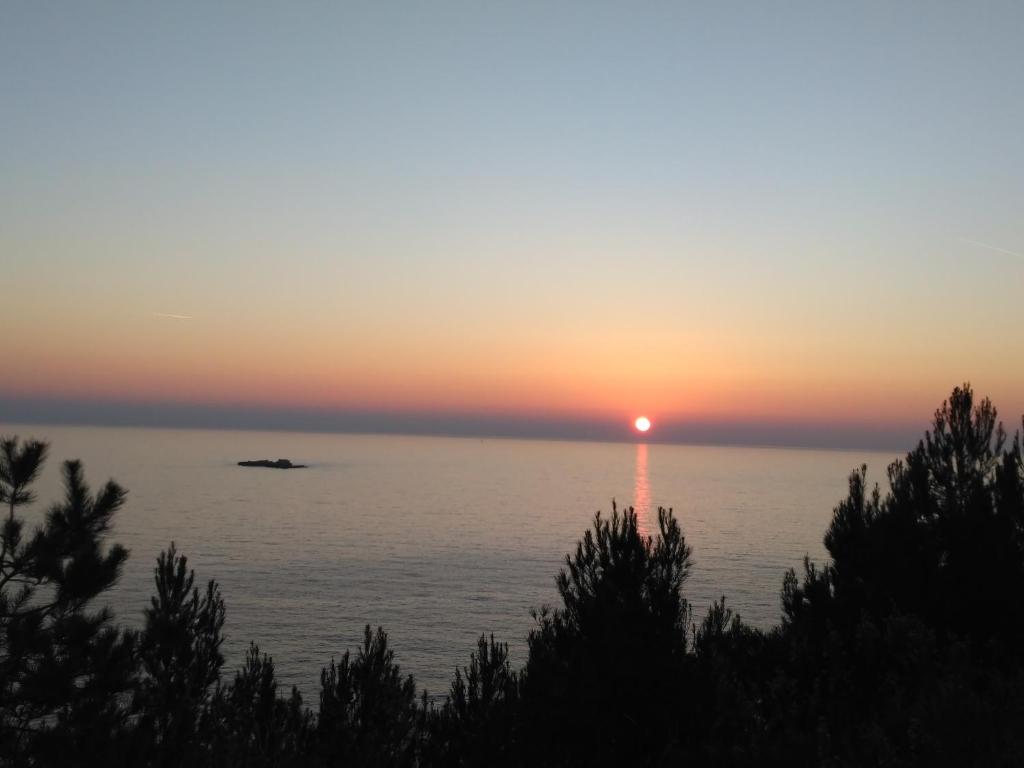 zachód słońca nad wodą z drzewami na pierwszym planie w obiekcie Sunny side of Adriatic w mieście Babino Polje