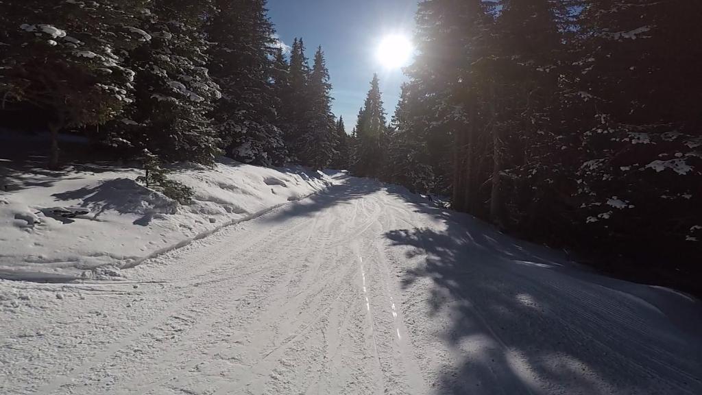 Skihütte v zimě