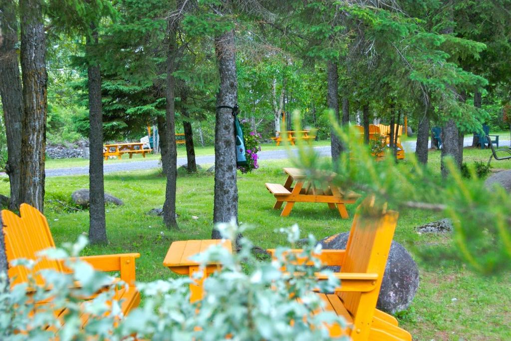 Un jardín fuera de Motel Des Cascades