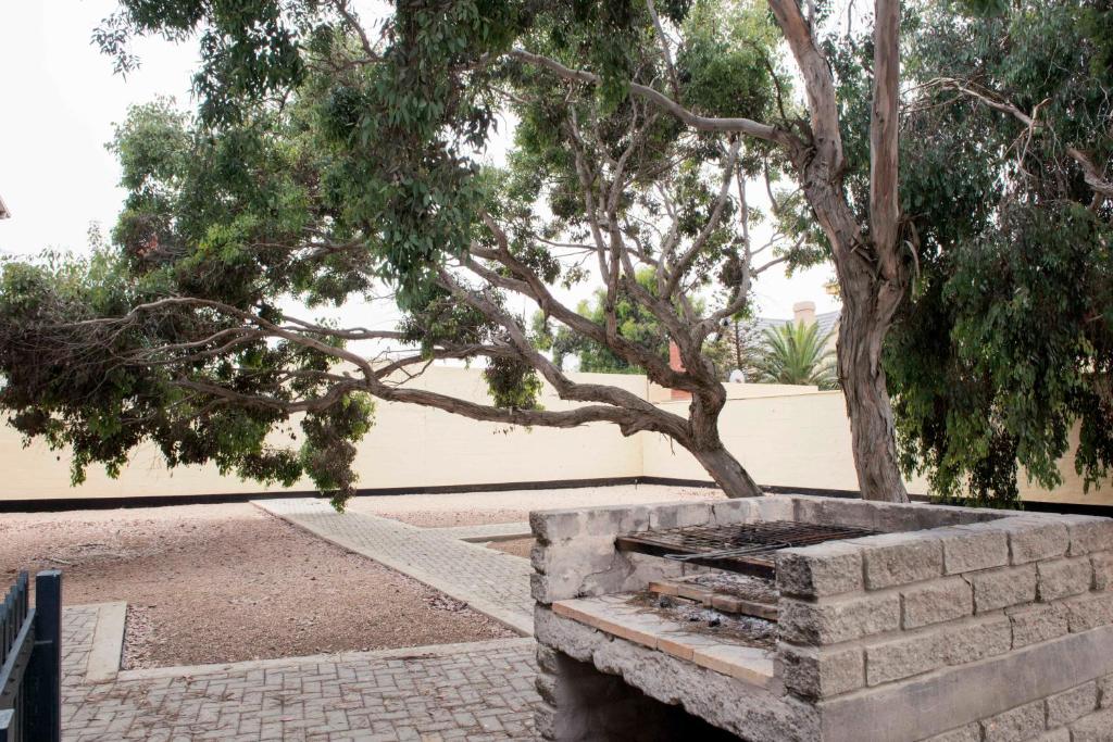 a tree sitting next to a stone bench in a park at Good Times Self Catering Apartments in Swakopmund