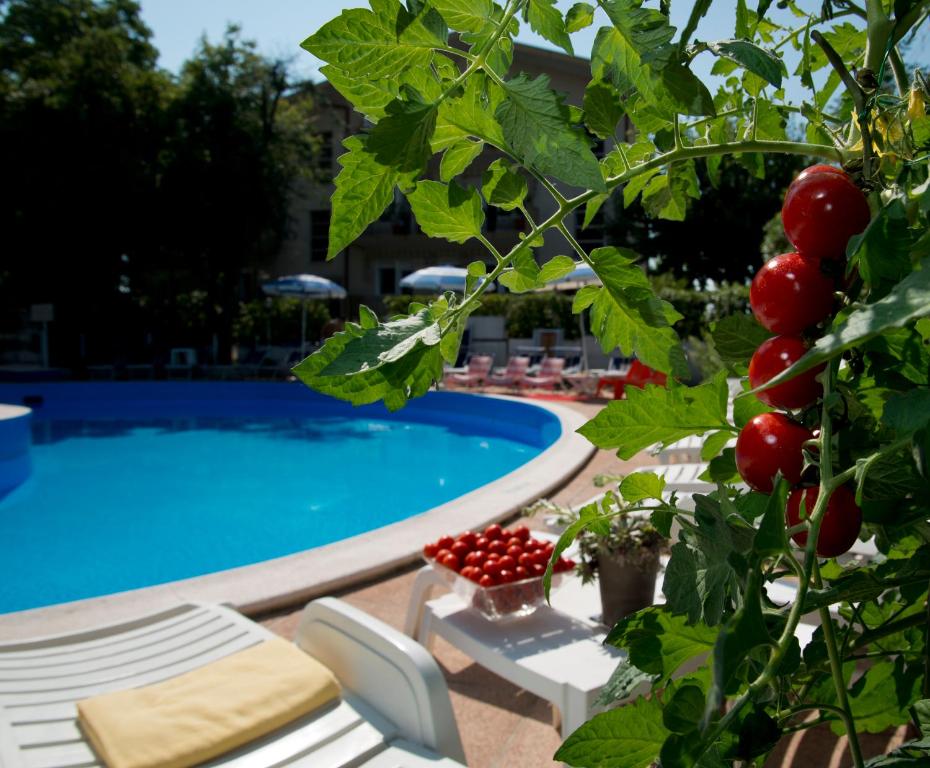 Bazén v ubytování Hotel Trafalgar nebo v jeho okolí