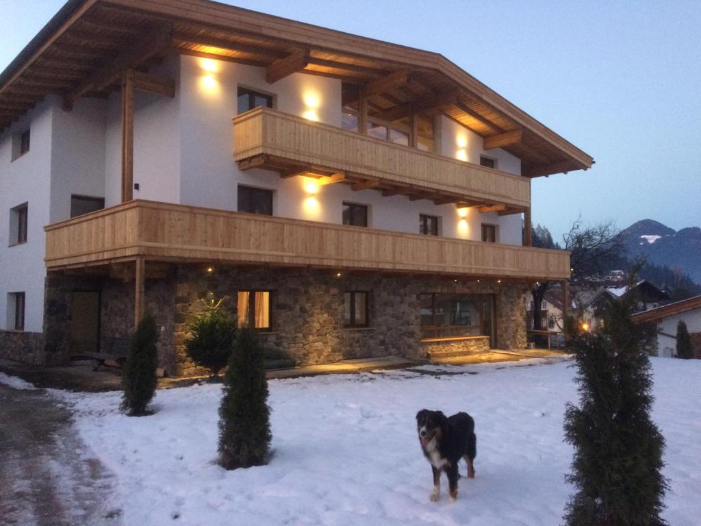 een hond die in de sneeuw voor een gebouw staat bij Berghof Zillertal in Fügen