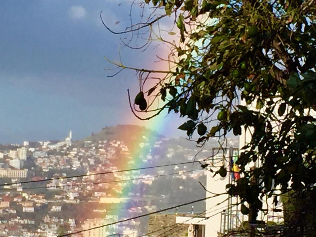 Rochinha Cozy Home - 18