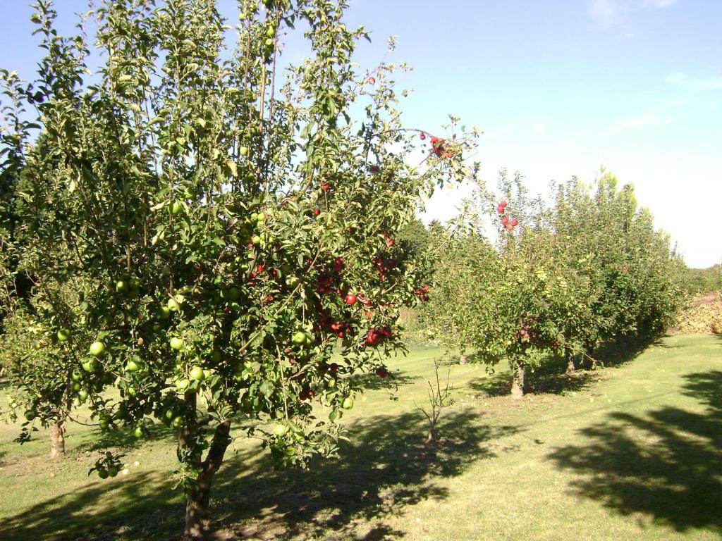 Zahrada ubytování Gite La Gourmandine