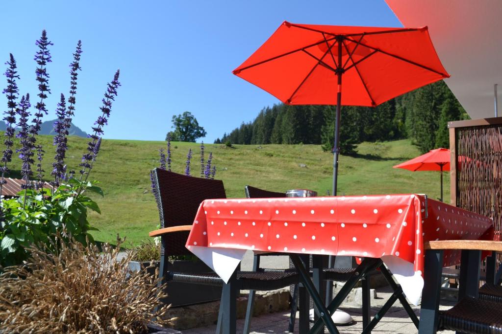 Zahrada ubytování Wuerttemberger Haus - Hütte