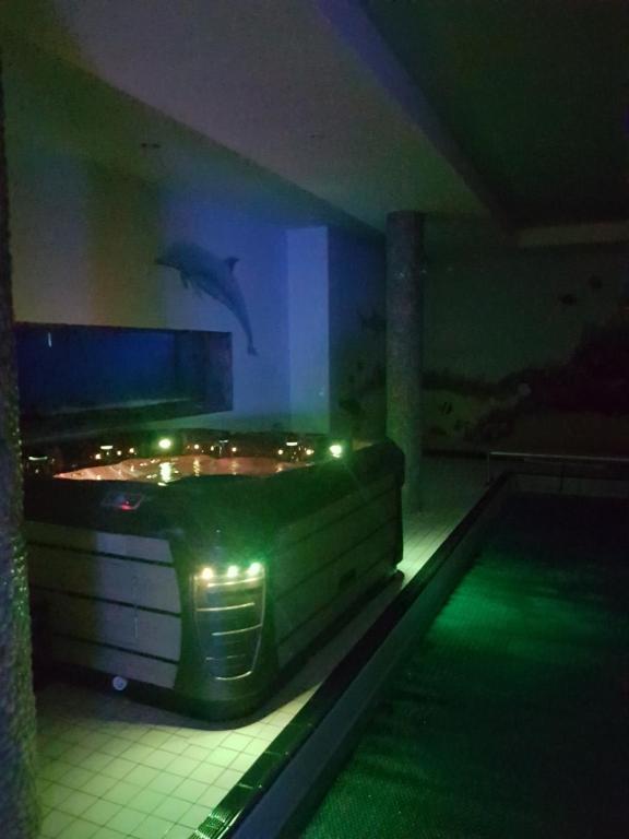 a dolphin jumping over a swimming pool at night at Pension Sunset Mezirolí in Nová Role