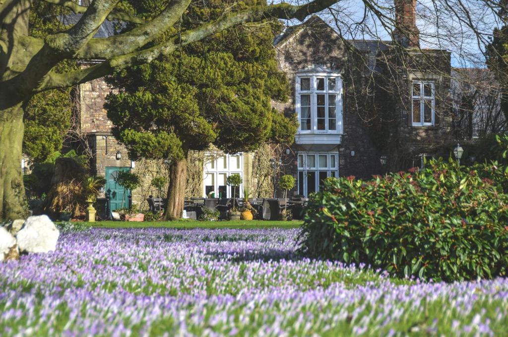 a garden of purple flowers in front of a house at The Priory Hotel in Newport