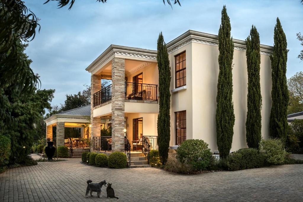 two cats standing in front of a house at Blaauwheim Guest House in Somerset West