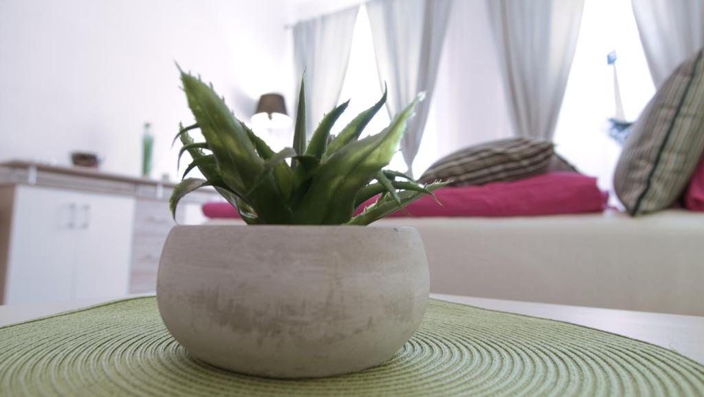 una pianta in un vaso bianco seduta su un tavolo di Donkey 2 a Vienna