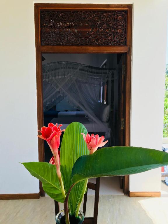 Fotografie z fotogalerie ubytování Neli guests house v destinaci Unawatuna