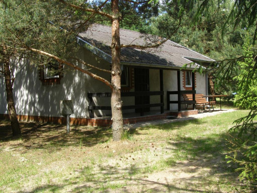 una cabaña en el bosque con un árbol en Domki Letniskowe Kobyłocha en Kobyłocha