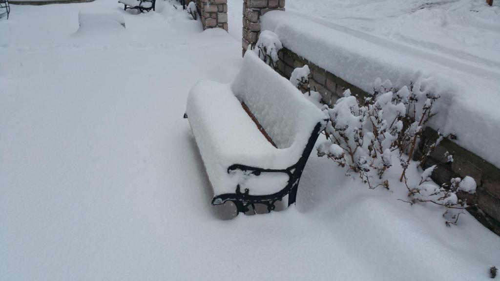 Domus Inn - Resim 45