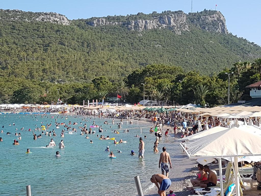 Příroda nedaleko hotelu
