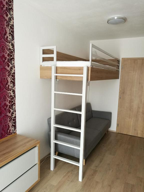 sypialnia z łóżkiem piętrowym i drabiną piętrowym w obiekcie Apartmány Sport Dolní Morava w mieście Dolní Morava