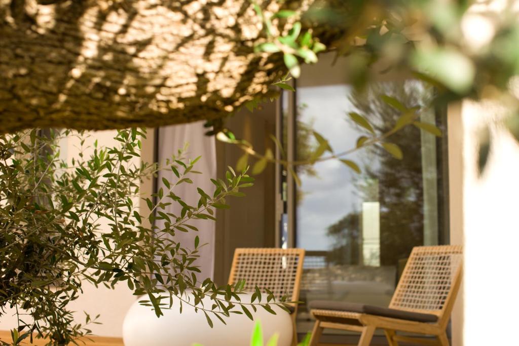 Zahrada ubytování Hôtel Cala di Greco