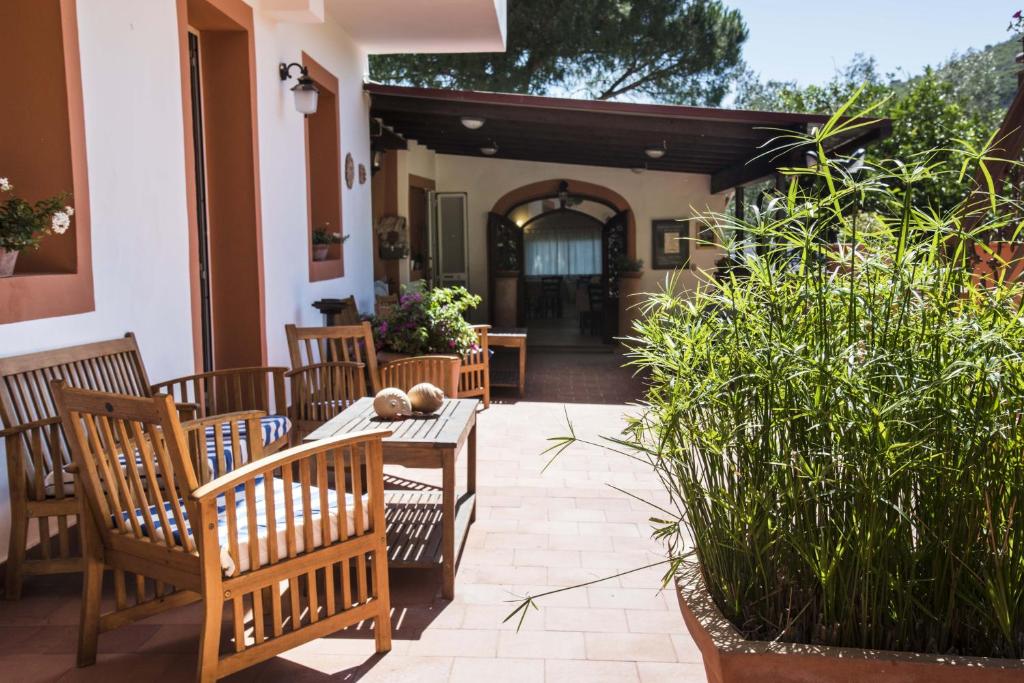 eine Terrasse mit Stühlen, einem Tisch und Pflanzen in der Unterkunft Hotel Etrusco in Rio Marina