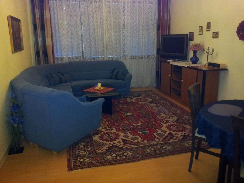 ウィーンにあるApartment City-Centerのリビングルーム(青いソファ、テレビ付)