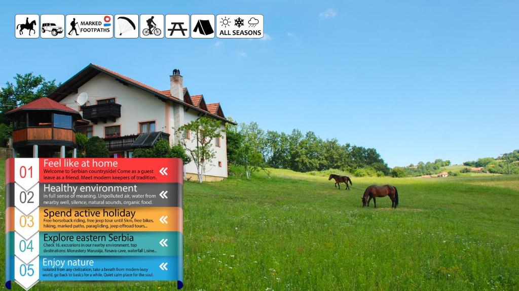 two horses grazing in a field in front of a house at Eco Farm Milanovic in Despotovac