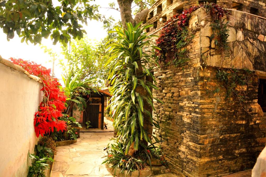 a plant is growing next to a brick building at Chalé de Pedra - Hospedaria in São Thomé das Letras