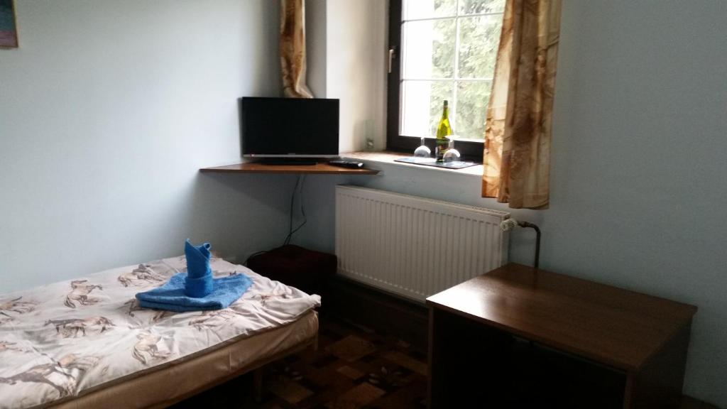 Postel nebo postele na pokoji v ubytování Penzion Pegas Depoltovice