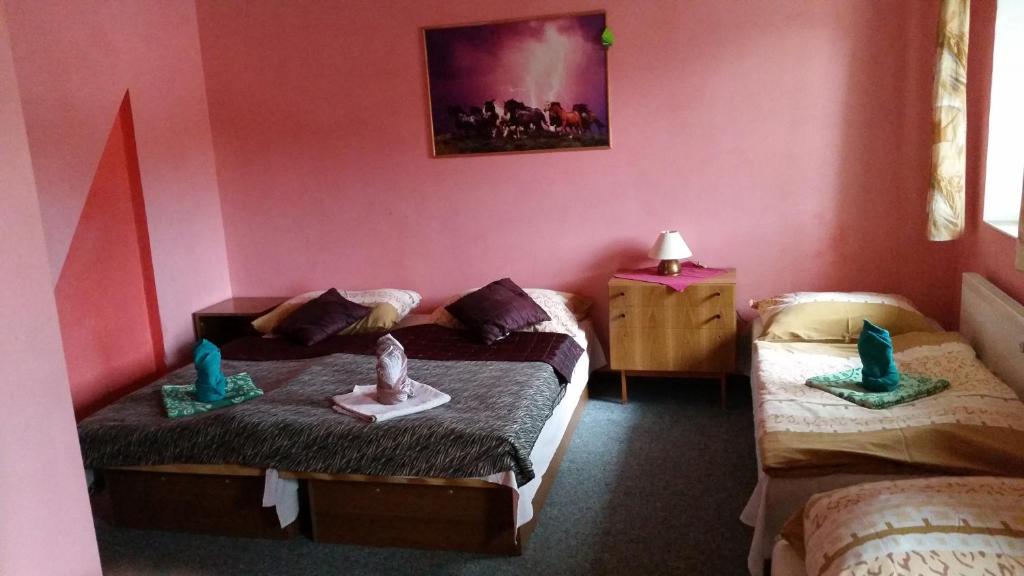 Postel nebo postele na pokoji v ubytování Penzion Pegas Depoltovice