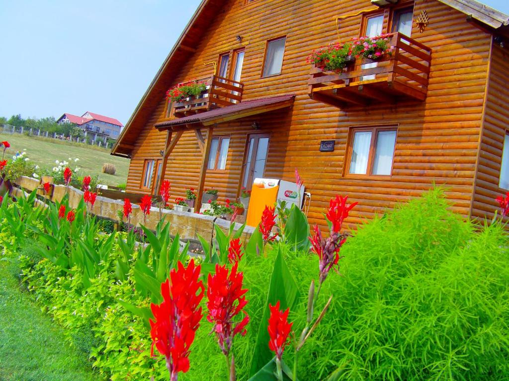 a wooden house with red flowers in front of it at Casa Altius Felix in Baile Felix