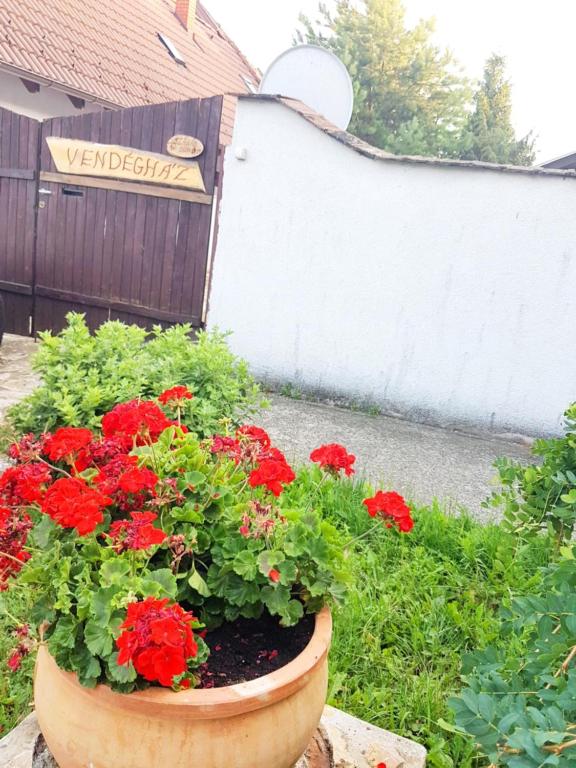 Zahrada ubytování Kúti Vendégház
