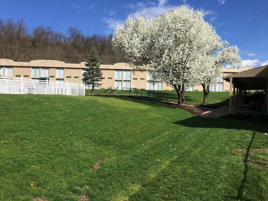 a tree in front of a building with a green yard at Southgate Hotel in Cambridge