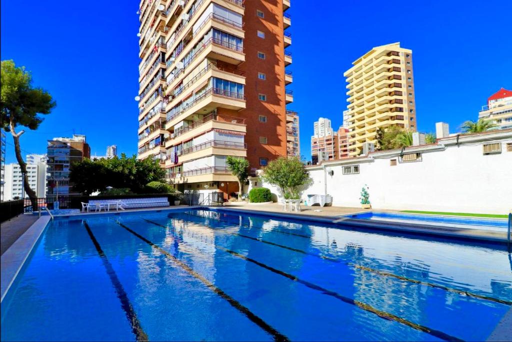 Piscis Of The Sea Benidorm, Benidorm – Bijgewerkte prijzen 2022