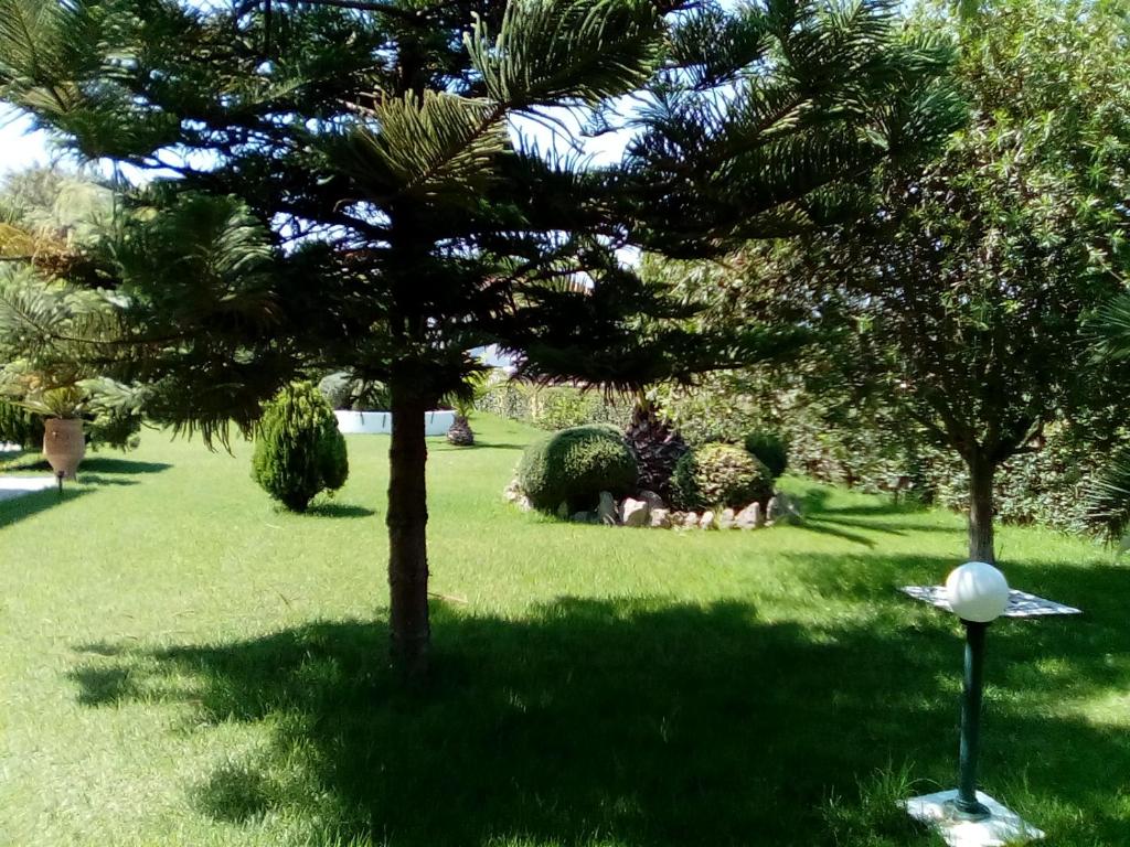 Zahrada ubytování Katerina house