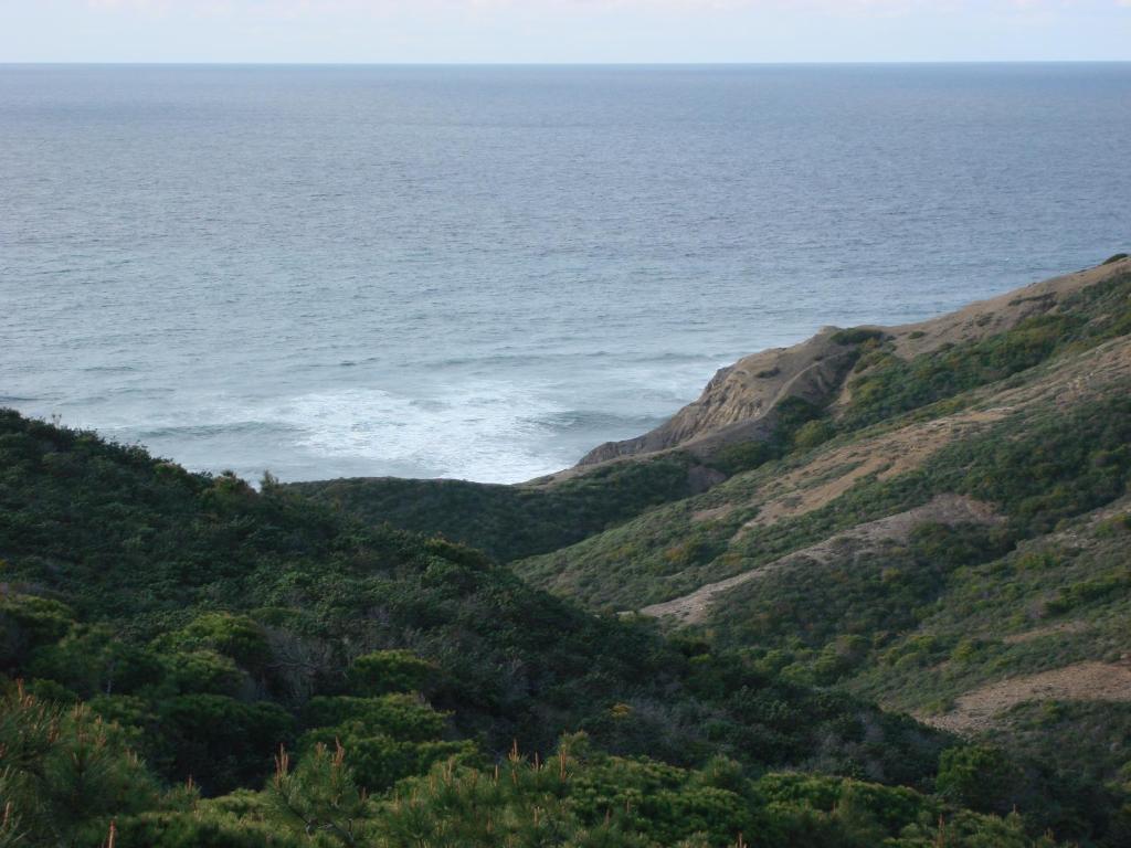 Cantinho da Avó - 13