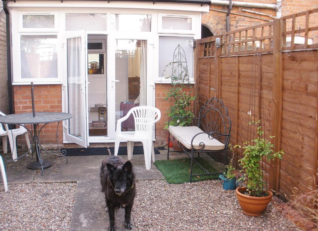 a black dog standing on a patio with a table at Trent Cottage in Newark-on-Trent