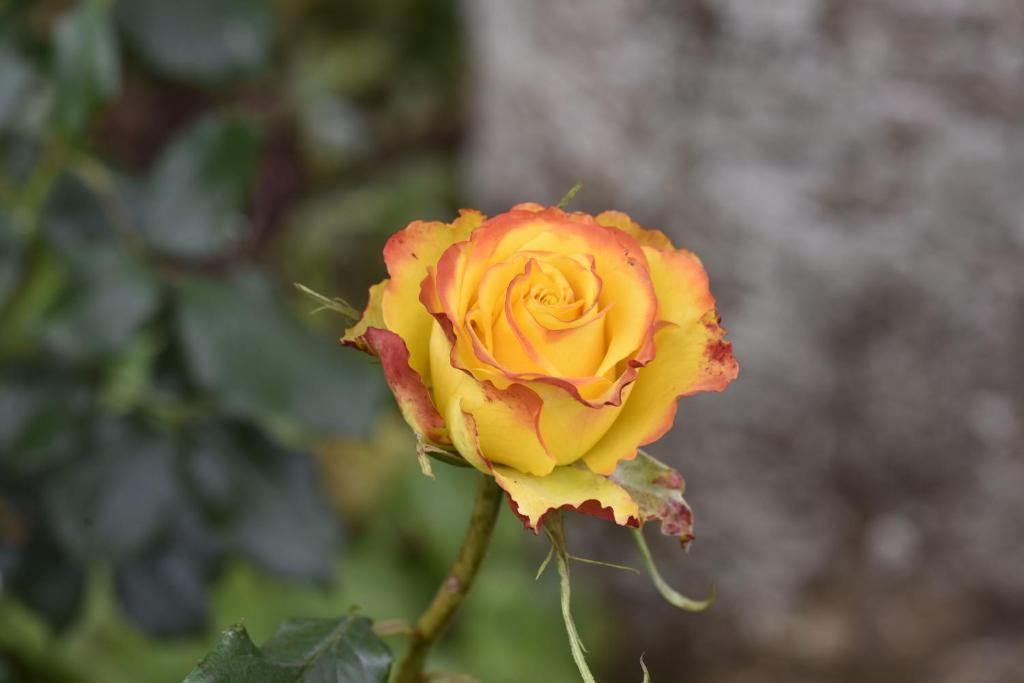 59 Chaucer Apartment - Resim 22