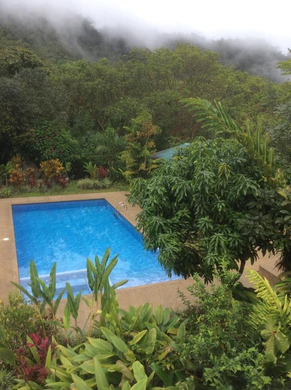 a swimming pool in the middle of a garden at Mindo Real in Mindo