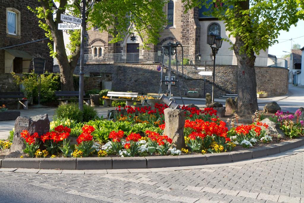 Zahrada ubytování Ferienwohnung-malanders