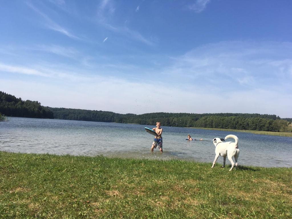 un homme et un chien jouant avec un frisbee dans l'eau dans l'établissement Dom pod Jabłonia, à Stare Juchy