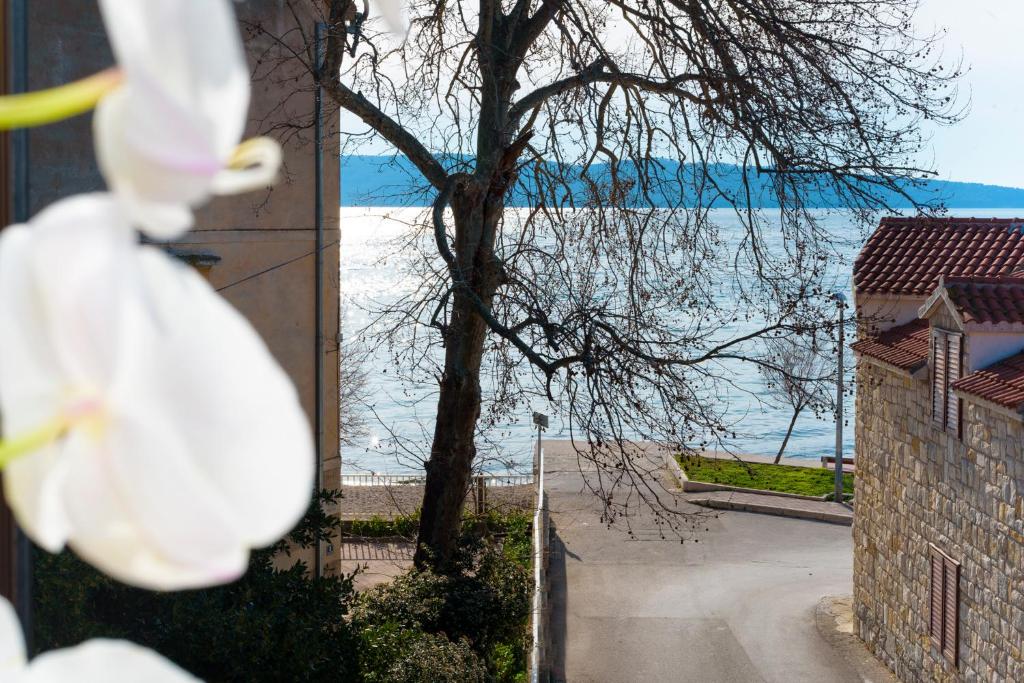 - une vue sur l'eau depuis une maison avec un arbre dans l'établissement Apartments Magli, à Kaštela