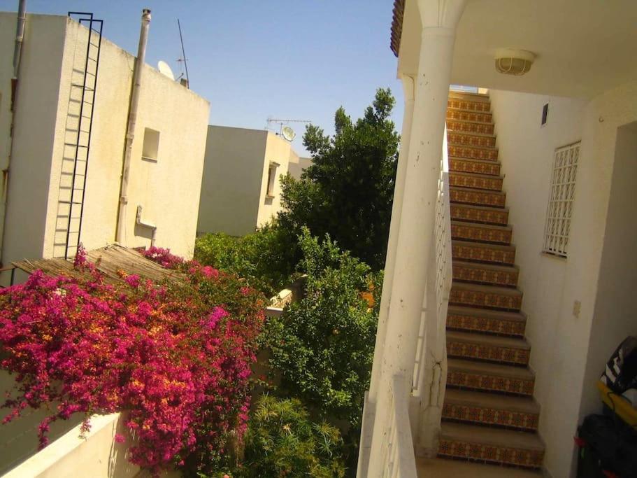 Studio Marsa - Apartamento Con Terraza