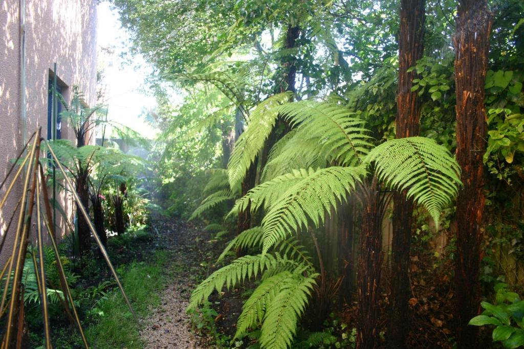 Sherborne Motor Lodge - Resim 38