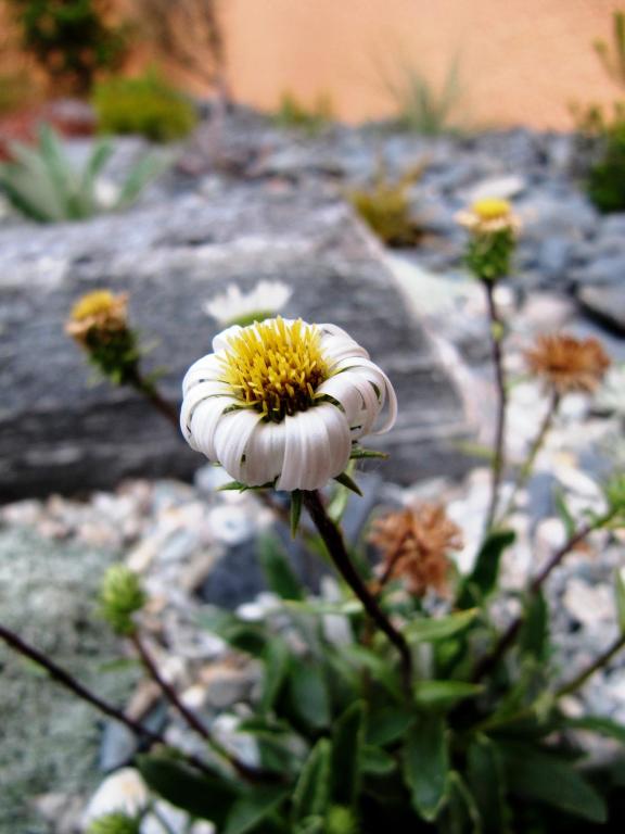 Sherborne Motor Lodge - Resim 14