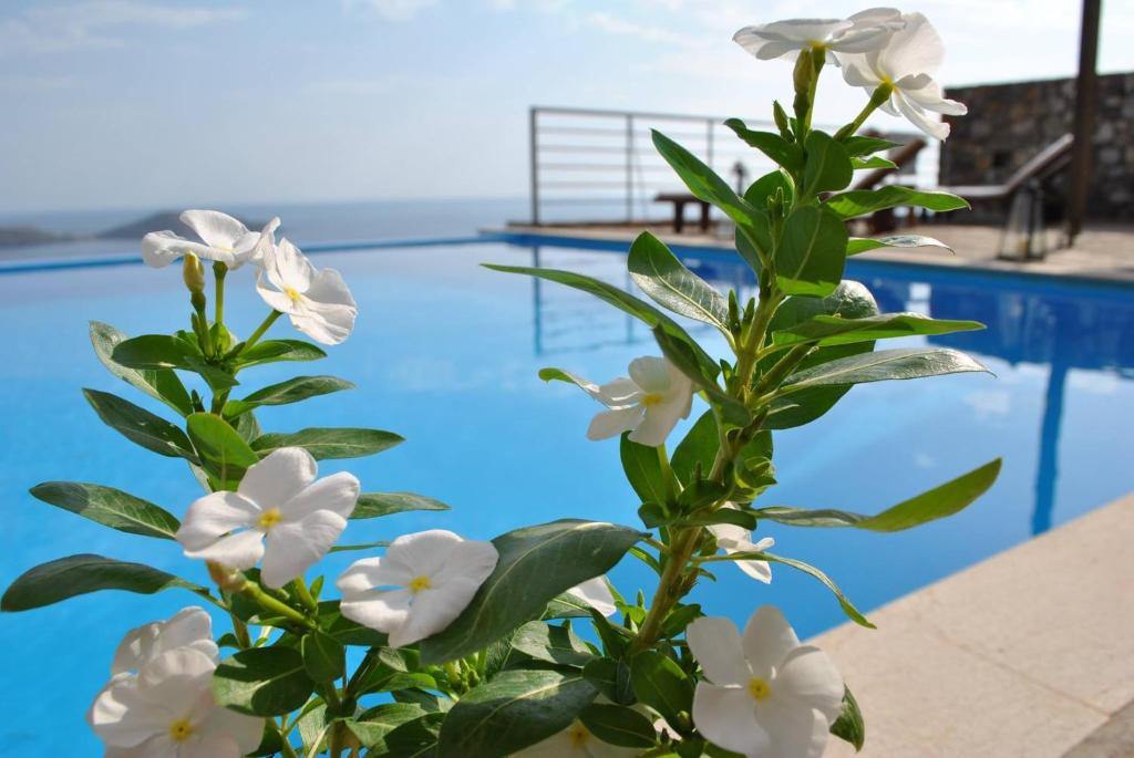 Bazén v ubytovaní Elounda Sunrise Villa alebo v jeho blízkosti