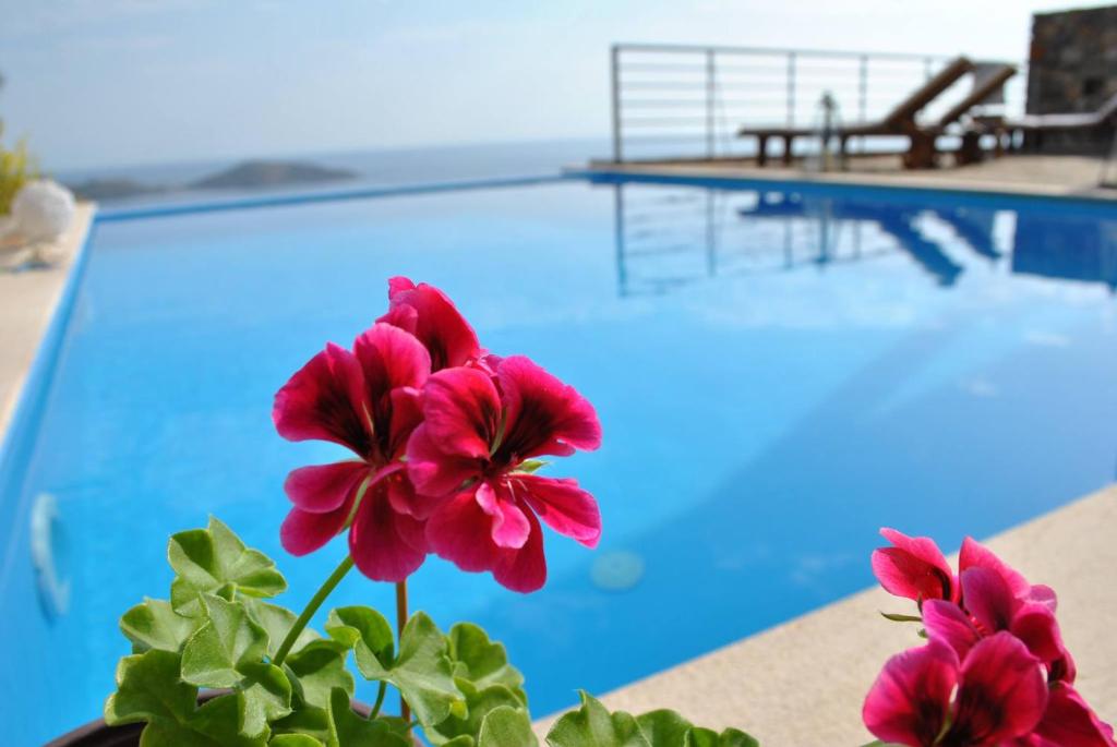 Bazén v ubytovaní Elounda Sunrise Villa alebo v jeho blízkosti
