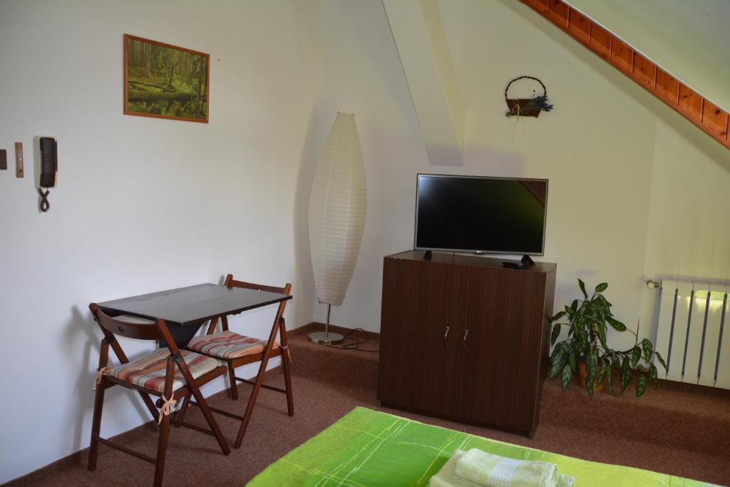 TV a/nebo společenská místnost v ubytování Penzion na Zborově