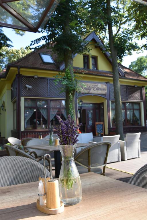Restaurace v ubytování Villa Hotel