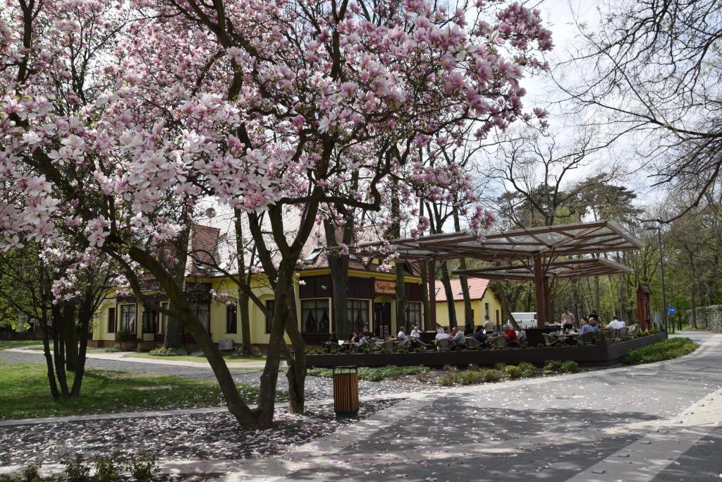 Zahrada ubytování Villa Hotel