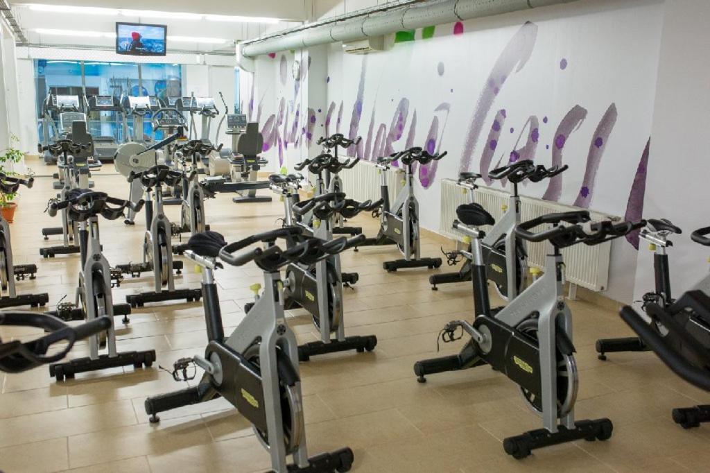 Hotel Moldova - Resim 13